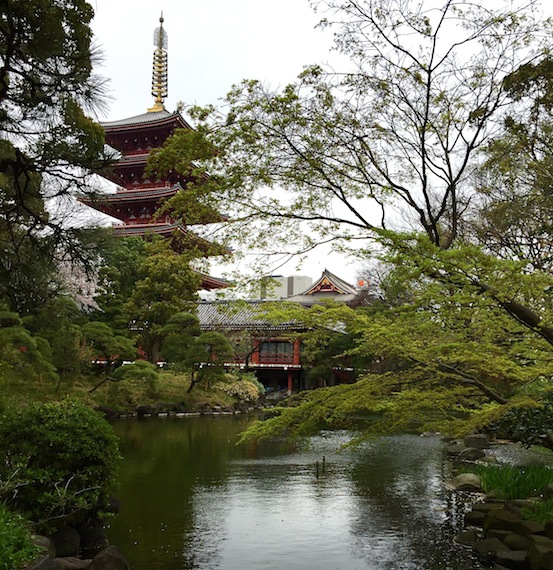 a0119252_1324488.jpg