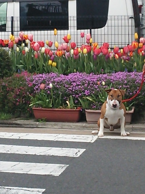 c0073152_22281387.jpg