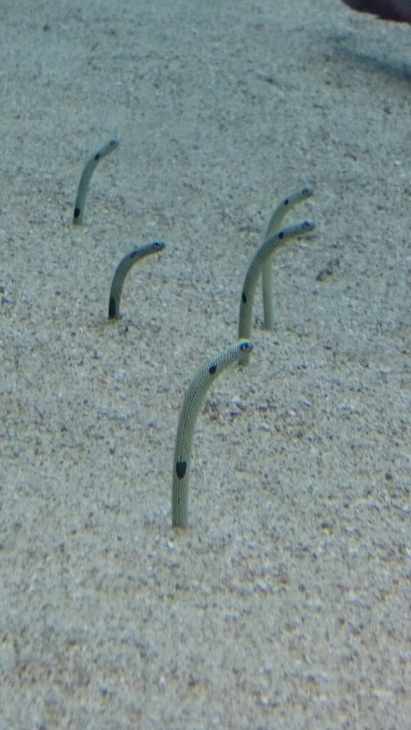 f0222259_17384772.jpg