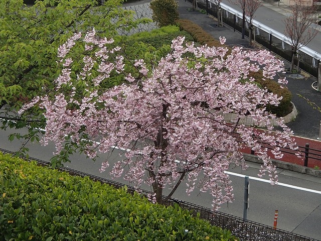 b0044663_13415566.jpg