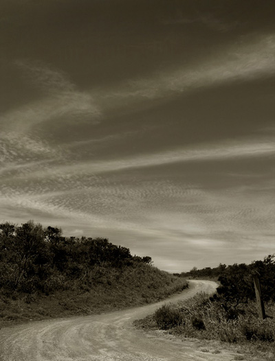 d0154663_13332.jpg