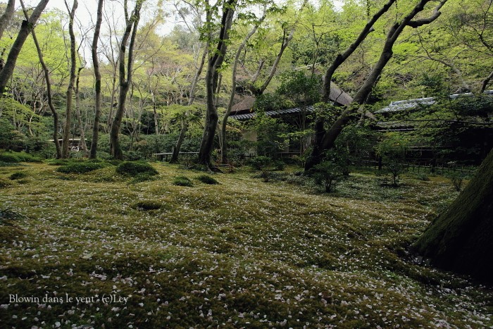 f0251765_1418294.jpg