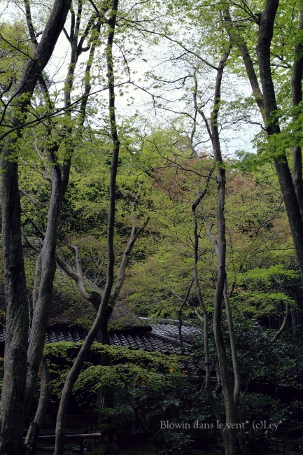 f0251765_14201828.jpg