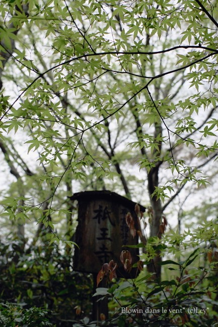 f0251765_1421287.jpg