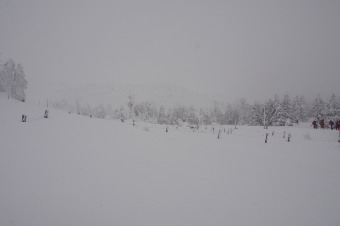 e0307372_16434540.jpg