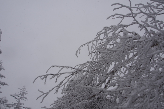 e0307372_22462027.jpg