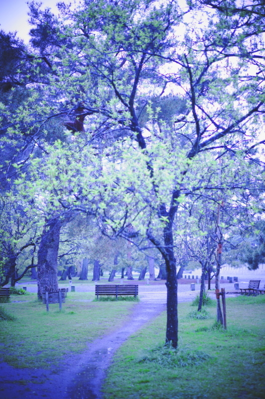 c0268775_06583647.jpg
