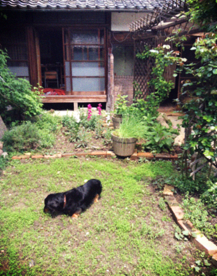 d0077603_134447.jpg