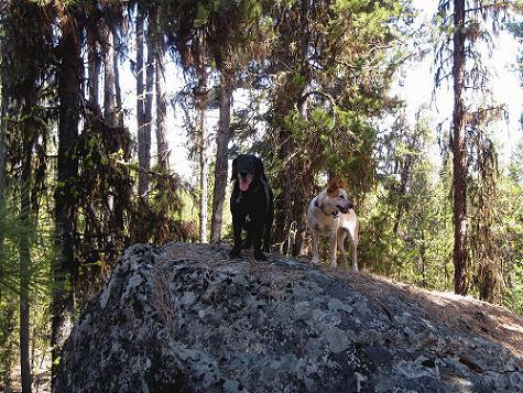 a0310405_05524491.jpg