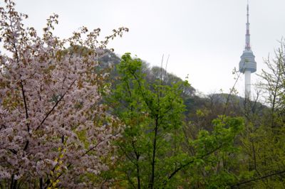 c0148705_1426788.jpg