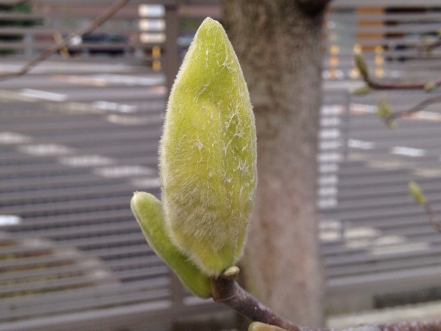b0289206_15535489.jpg