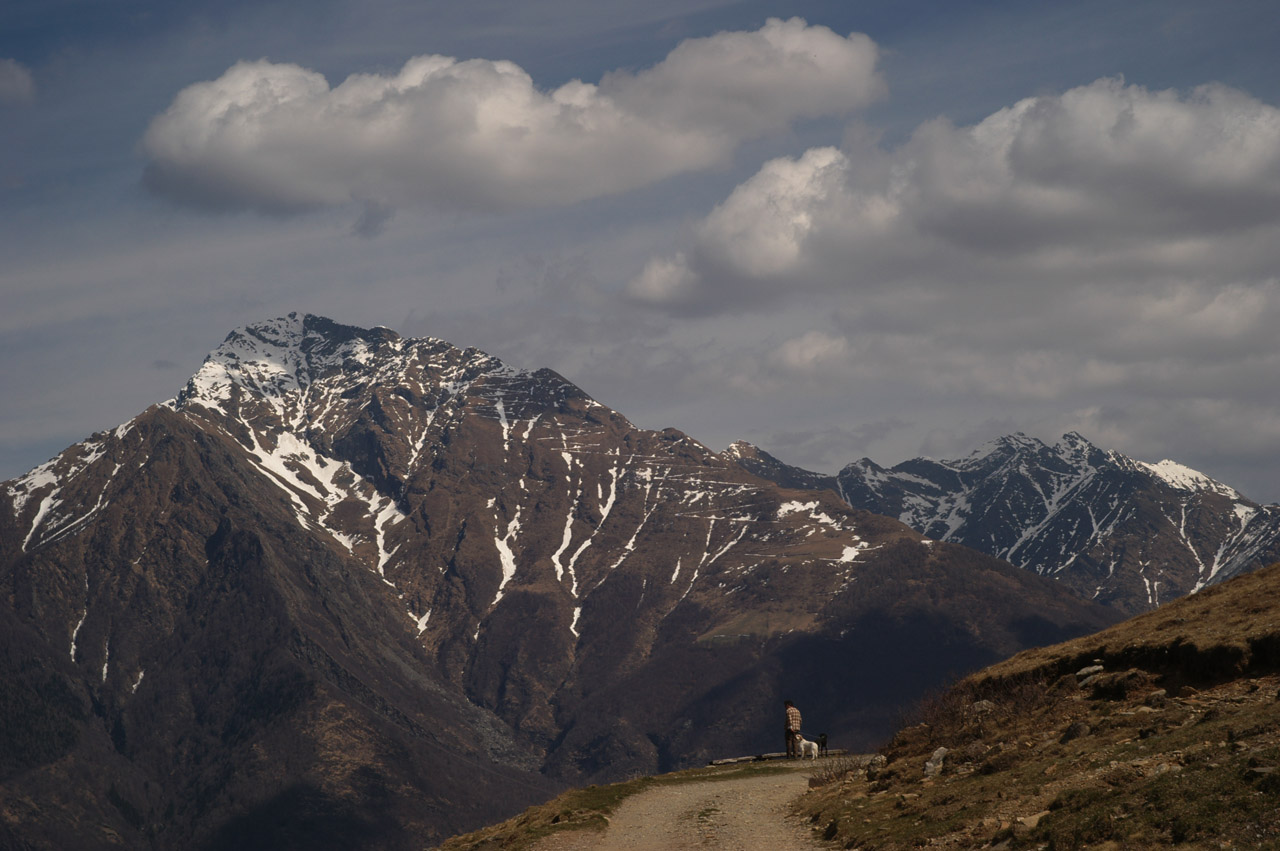 d0104210_5585755.jpg
