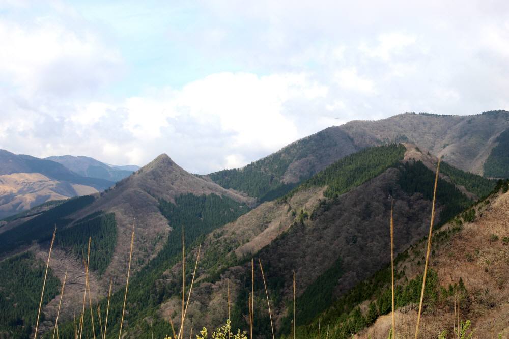 f0212511_2350640.jpg