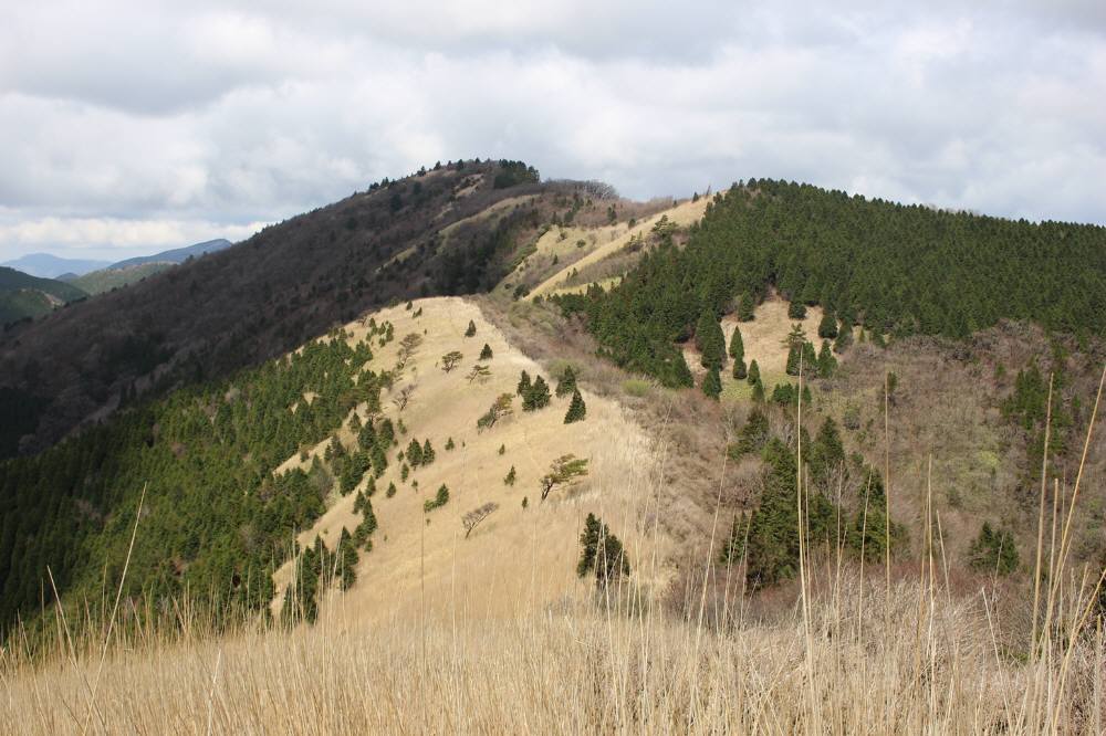 f0212511_23534111.jpg