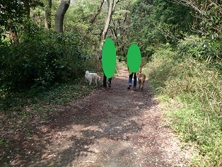 c0315313_22053942.jpg