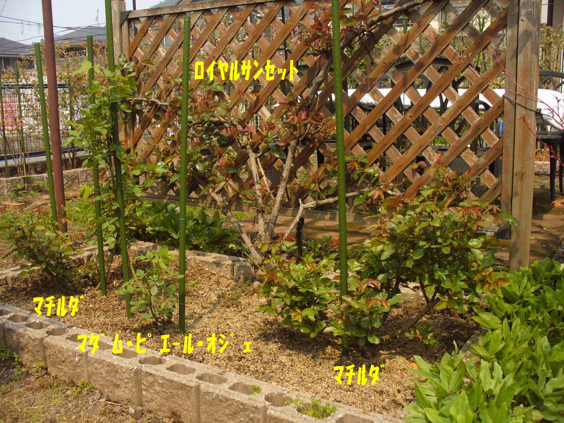 f0346527_2239497.jpg