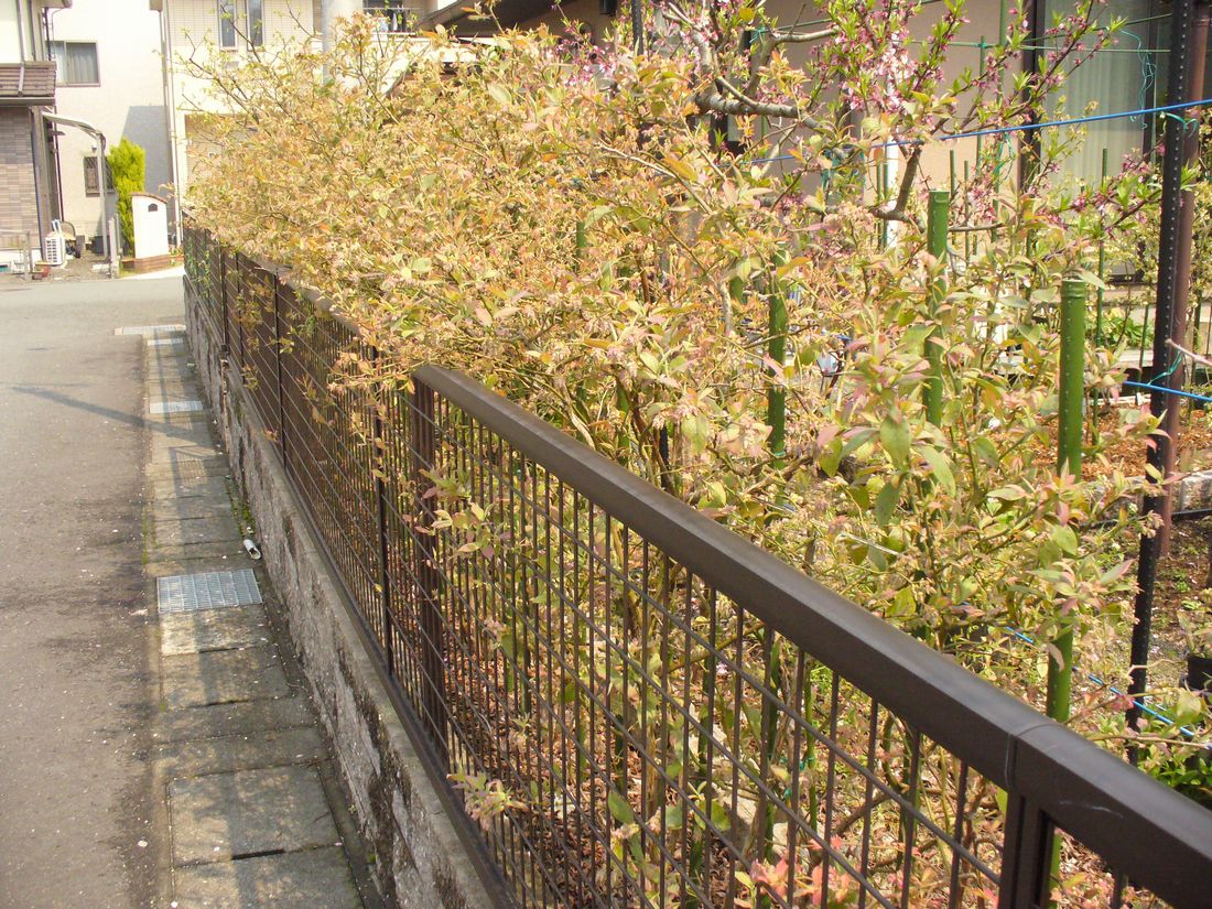 f0346527_22522540.jpg