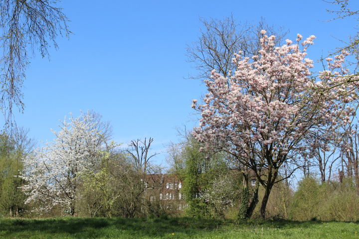 c0153740_16173433.jpg