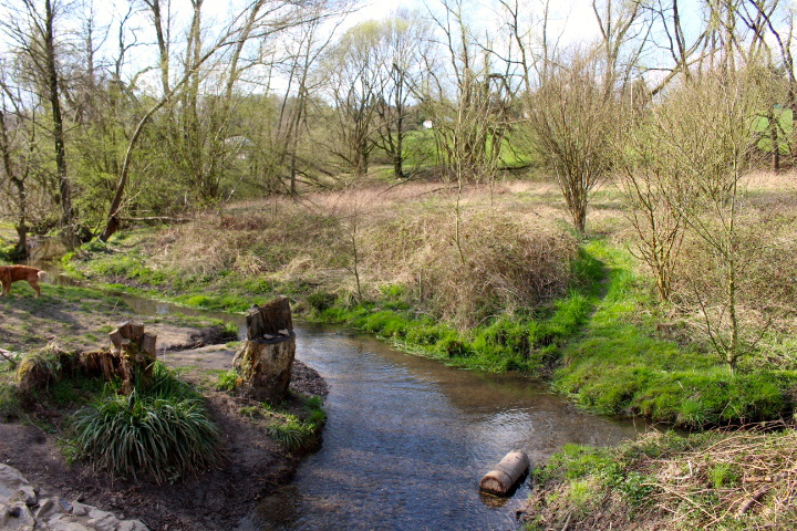 c0153740_1619123.jpg