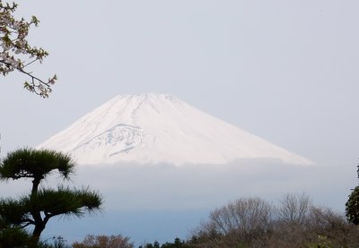 a0142343_1141029.jpg