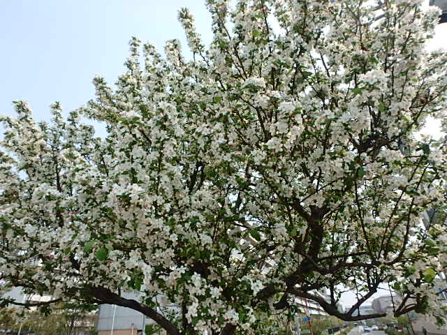 f0334143_21391067.jpg