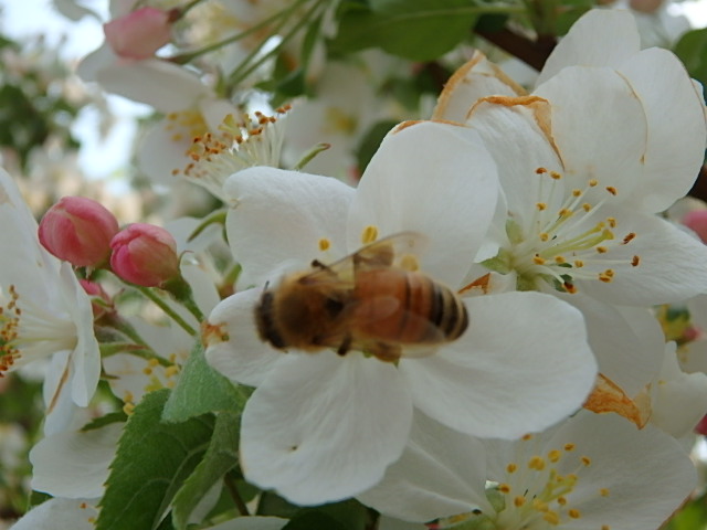 f0334143_21392013.jpg