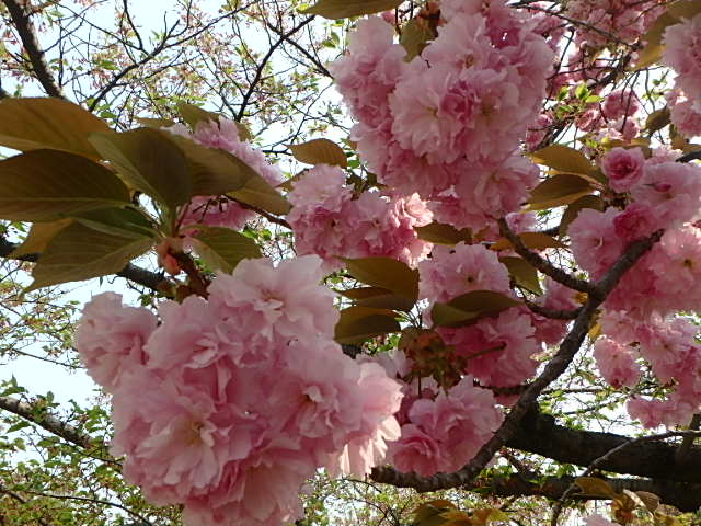 f0334143_21394680.jpg