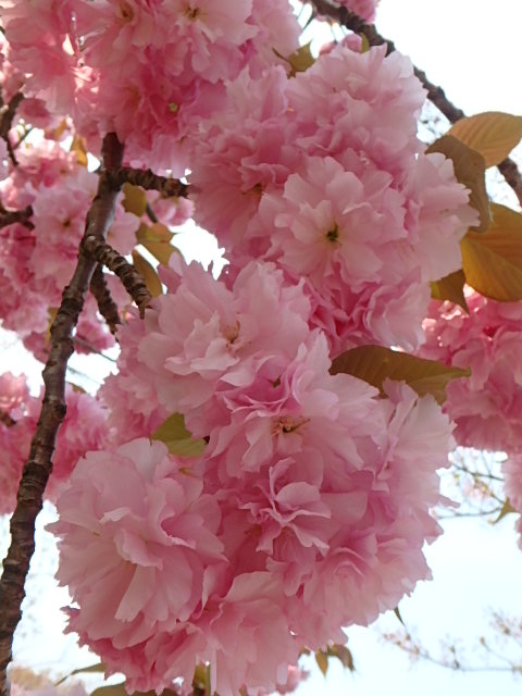 f0334143_21401143.jpg