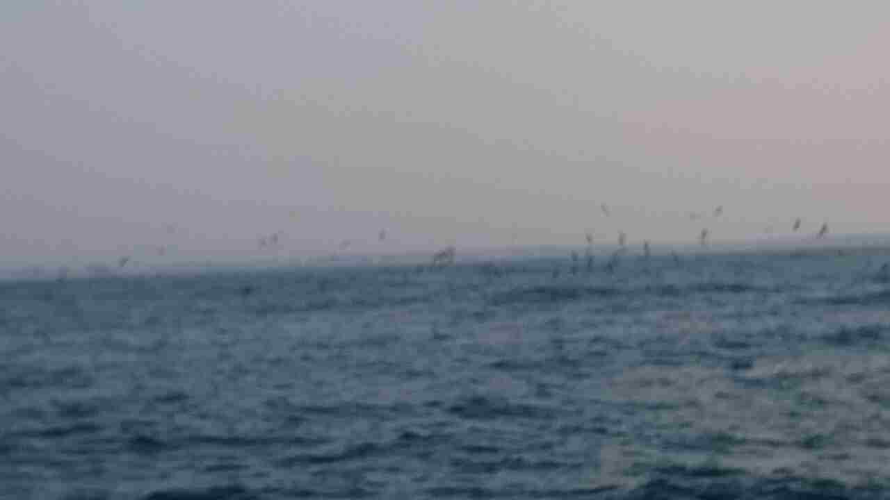 a0248152_17212451.jpg