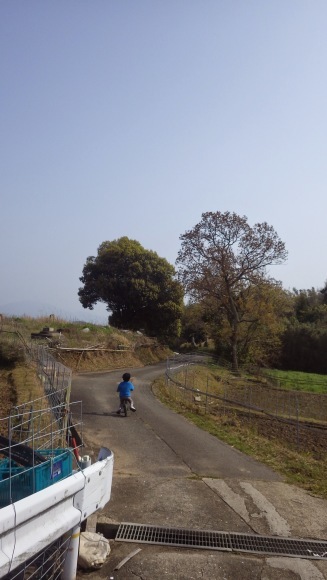 f0201157_23192464.jpg