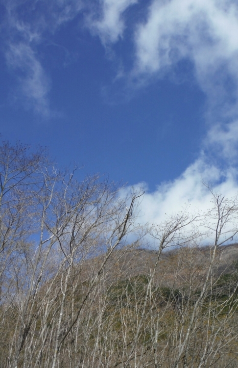 b0304662_20174151.jpg