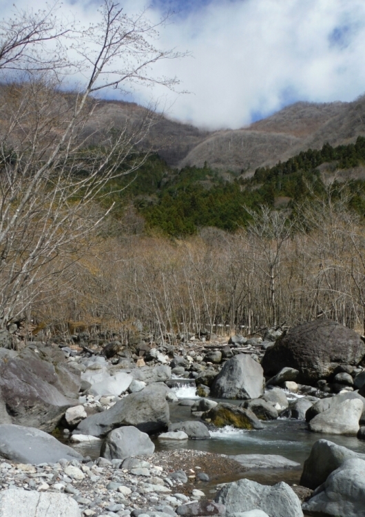 b0304662_20202651.jpg