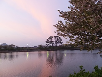 f0113862_19245448.jpg