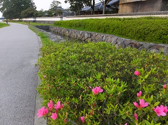 f0113862_19321545.jpg