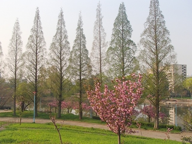 b0044663_12533788.jpg