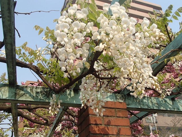 b0044663_12574039.jpg