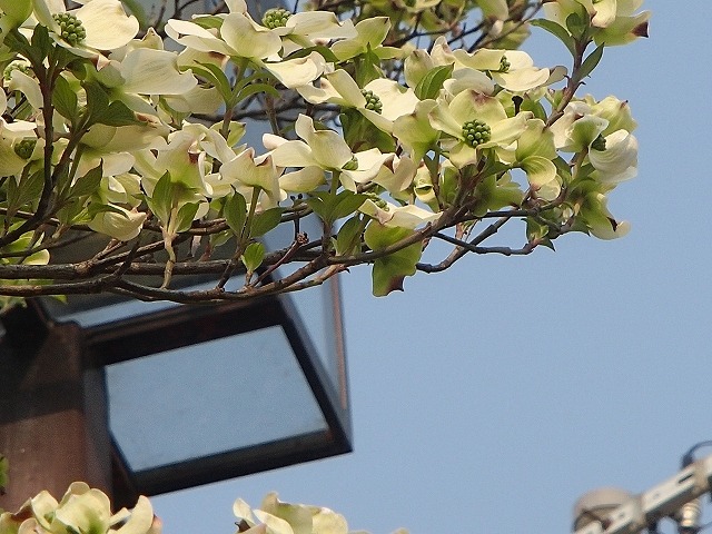 b0044663_1257770.jpg