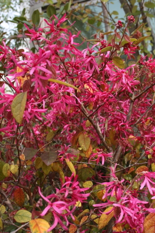 c0248269_21370963.jpg