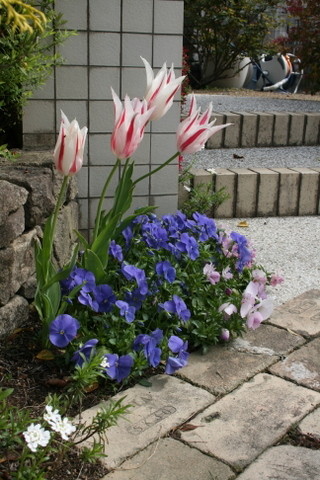 c0248269_21384874.jpg