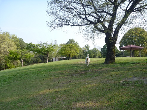 e0161972_1859457.jpg