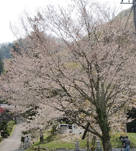 a0234877_18291571.jpg