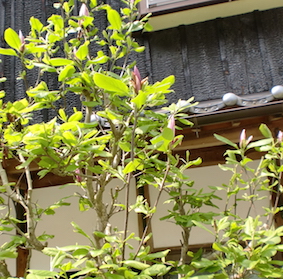 a0234877_1829490.jpg