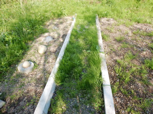 f0054677_07125658.jpg