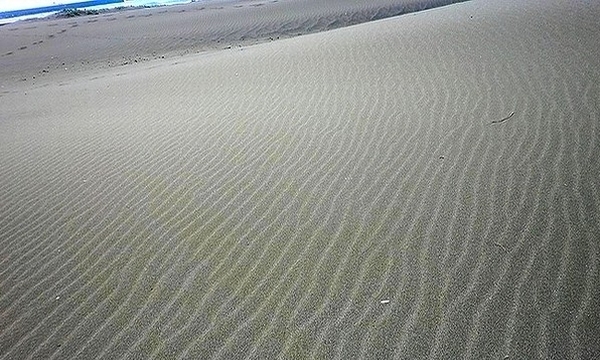 e0143690_1716361.jpg