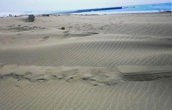 e0143690_17205251.jpg