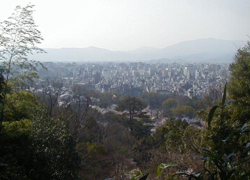 d0053294_1591327.jpg
