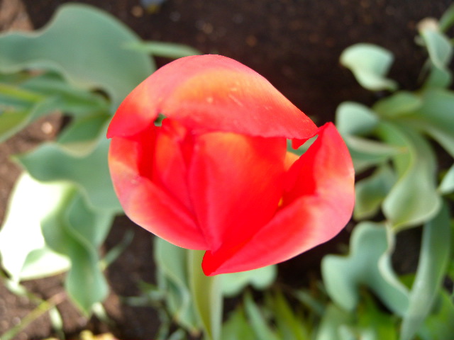 a0199297_19392523.jpg