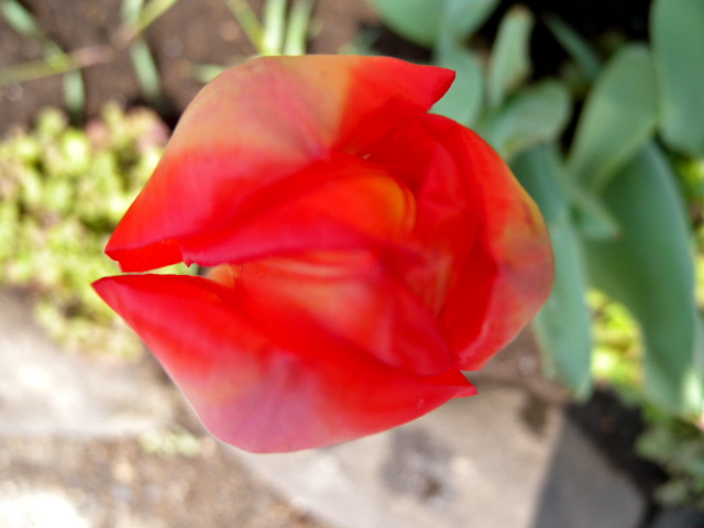 a0199297_19423029.jpg