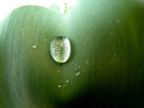 a0199297_20581473.jpg