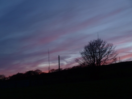b0110999_672240.jpg